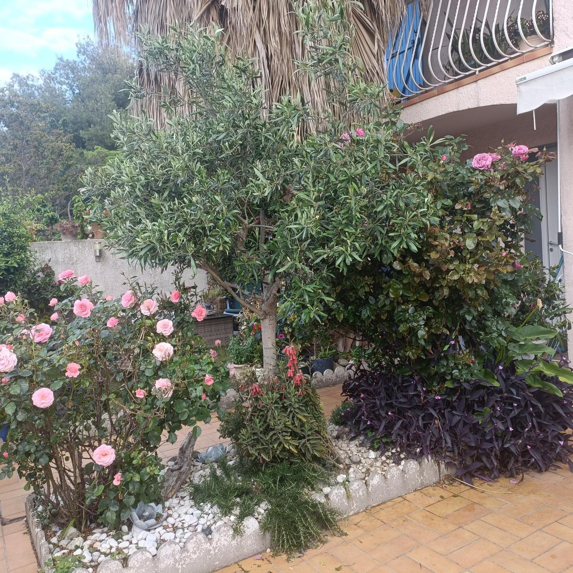 Studio Clair, Climatise Avec Jardin Et Parking Perpignan Kamer foto